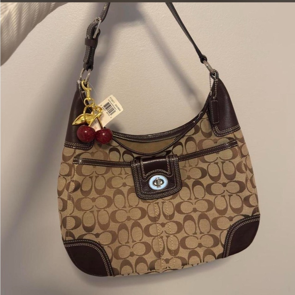 Coach Signature Canvas Hobo Bag in Brown